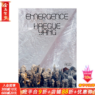 【现货】梁惠圭：浮现 当代艺术作品集 拼贴雕塑装置画册 Haegue Yang: Emergence 英文原版进口图书
