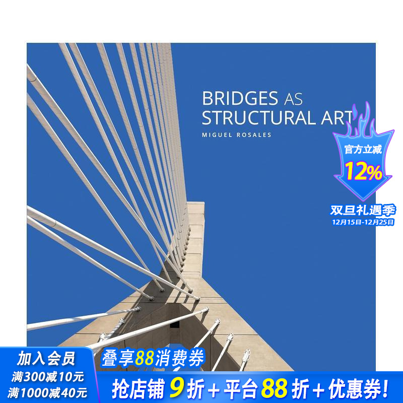 作为结构艺术的桥梁 Bridg