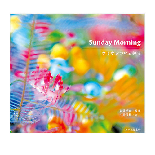 【现货】水下摄影集：海蛞蝓的假日 SUNDAY MORNING ウミウシのいる休日 日本摄影作品集
