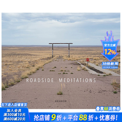 【预售】英文原版 路边沉思 Rob Hammer: Roadside Meditations 人文景观摄影 正版进口书籍艺术画册 善优图书