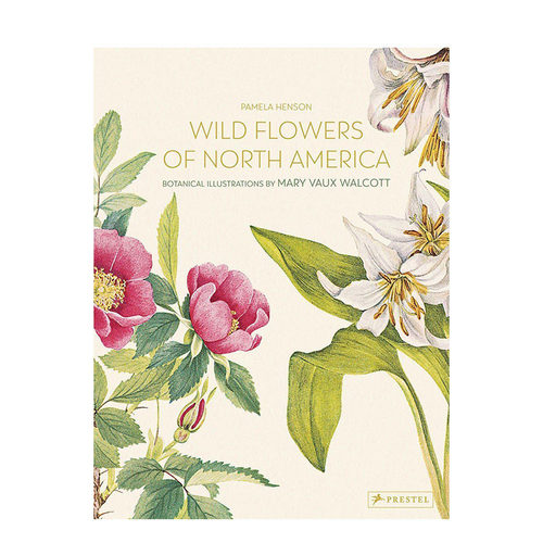 【现货】北美洲野生花卉：Mary Vaux Walcott植物水彩插画 Wild Flowers of North America 插画/原画/设定集 英文正版进口书