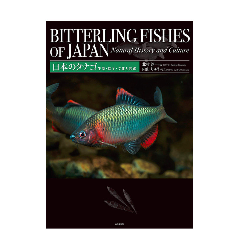 【现货】日本のタナゴ 生態・保全・文化と図鑑 日文原版 鲤鱼蝗虫生态保护文化 日本原装进口图画书【善优图书】