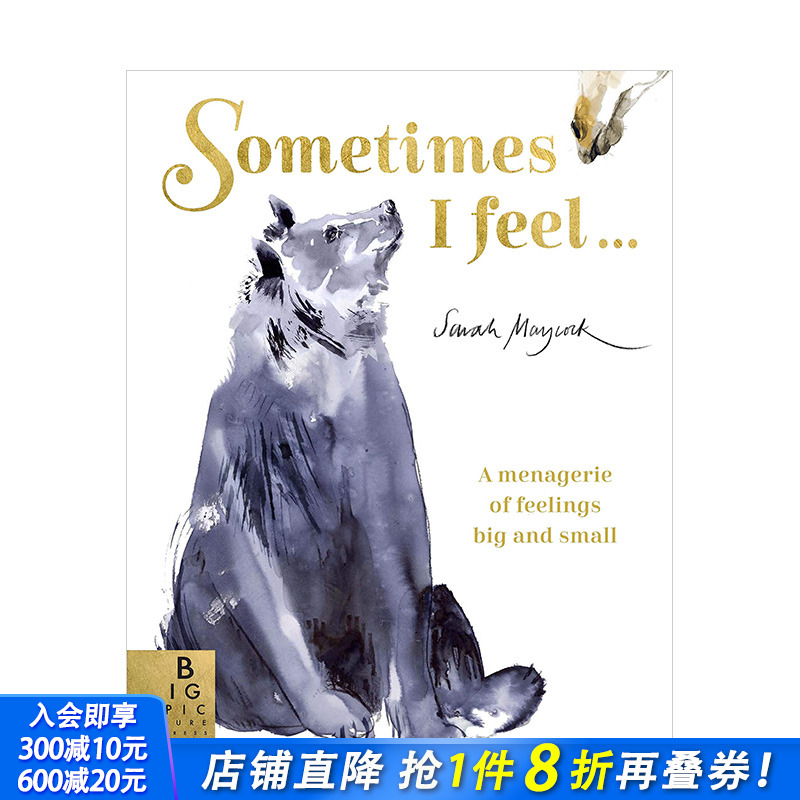 【现货】有时我感觉…：各种的情感Sometimes I Feel... 儿童艺术绘本 英文原版 3-6岁孩子情感共鸣认知