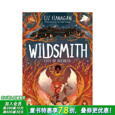 【现货】秘密之城 Joe Todd-Stanton插图 【The Wildsmith】2 City of Secrets 英文儿童章节桥梁故事书 英语阅读拓展进口童书