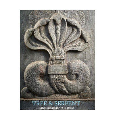 【现货】英文原版 树与蛇：印度的早期佛教艺术 Tree and Serpent: Early Buddhist Art in India 艺术历史与评论 正版进口书籍