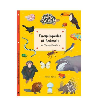 【现货】动物百科全书 Encyclopedia of Animals 英文儿童插画故事绘本 进口童书