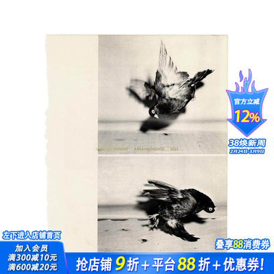【预售】安排 Arrangements  原版英文艺术画册画集 正版进口书