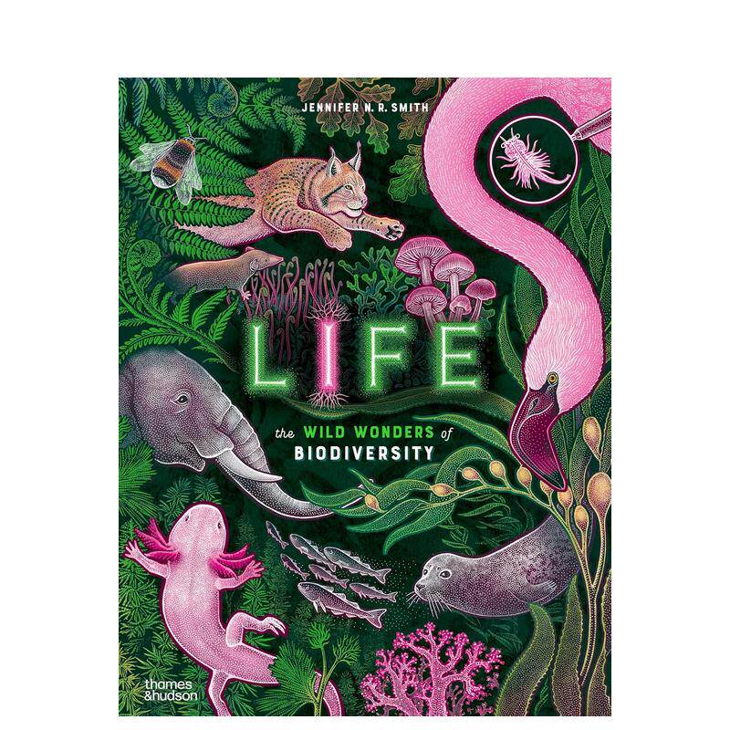 【现货】生命：生物多样性的野生奇观 【Wild Wonders】Life The Wild Wonders of Biodiversity 英文儿童插画科普绘本 进口童书