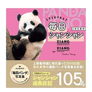 【现货】日版 每日香香 熊猫香香摄影写真集 日文原版进口相册 毎日シャンシャン【善优图书】