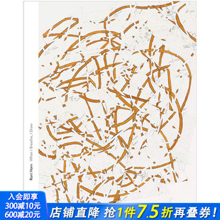 Horn When 罗尼·霍恩 现货 英文艺术 Draw Roni Breathe