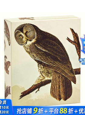 【预售】奥杜邦猫头鹰：速记卡片册 Audubon Owls QuickNotes 原版卡牌 正版进口书
