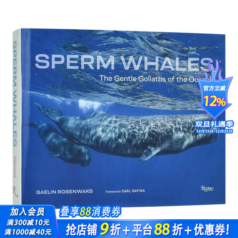 抹香鲸: 海洋中温柔的歌利亚