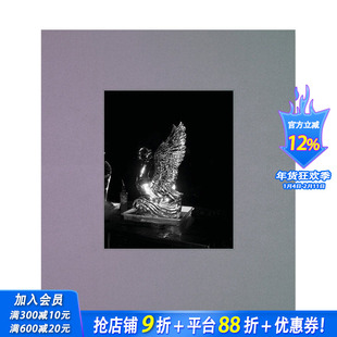 【现货】我将优美地歌唱 欧格斯·兰斯莫斯i shall sing these songs beautifully  Yorgos Lanthimos 英文摄影正版进口书