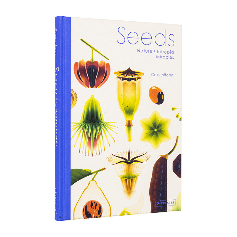 【现货】种子：无畏的自然奇迹 Seeds 手绘植物标本集 自然科普 艺术画册 英文儿童插画科普绘本 进口童书
