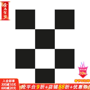 【预售】当代设计现象 The Neubad Plakat - A Contemporary Design Phenomenon 原版英文字体图案标志设计 正版进口书