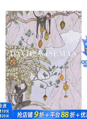 【现货】David Wiseman 大卫·怀斯曼 美国设计师 英文原版