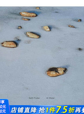 【现货】英文原版 在水中 At Water 摄影师专辑Seth Fluker 正版进口图书画册