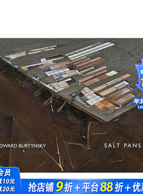 【预售】爱德华·伯汀斯基：盐 Edward Burtynsky: Salt Pans: Little Rann of Kutch 原版英文摄影作品集 正版进口书