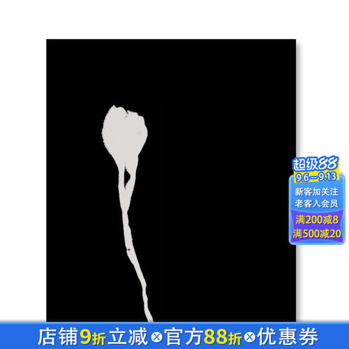 【预售】Nausea恶心眩晕 摄影师Ron Jude单调空间和物体视觉传达作品集 英文原版进口画册MACK出版