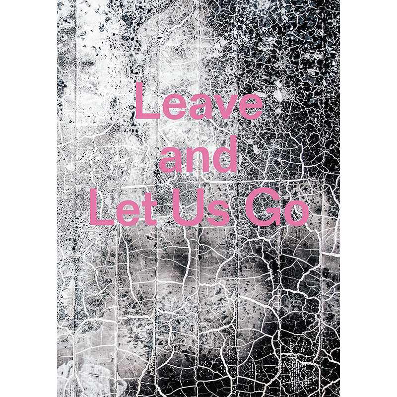 【预售】Leave and Let Us Go,离开并让我们走 英文原版图书籍进口正版 Alexandra Rose Howland 摄影-人文景观