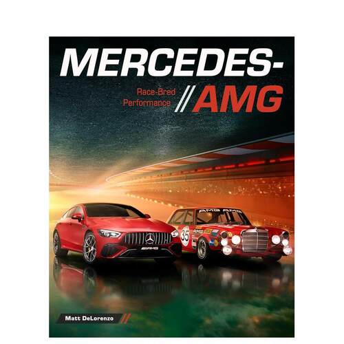 梅赛德斯-AMG：赛车性能 M