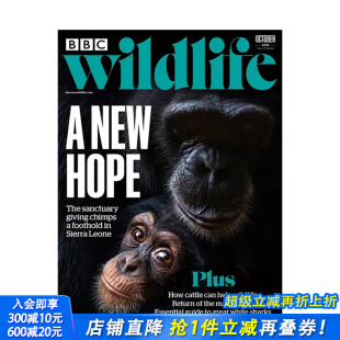 BBC WILDLIFE 2024年 英文原版 单期杂志 NO.522 学术科普杂志期刊 现货