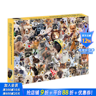 【现货】疗愈宠物拼图500片 进口文创  Literally Just Pictures of Cute Animals That Will Make You Feel Better