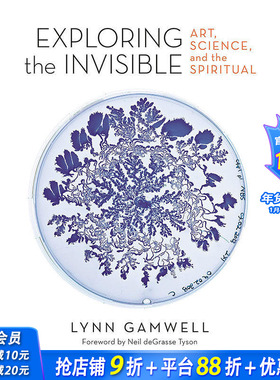 【现货】Exploring the Invisible: Art Science and the Spiritual Revised and Expanded Edition探索无形： Lynn Gamwell艺术