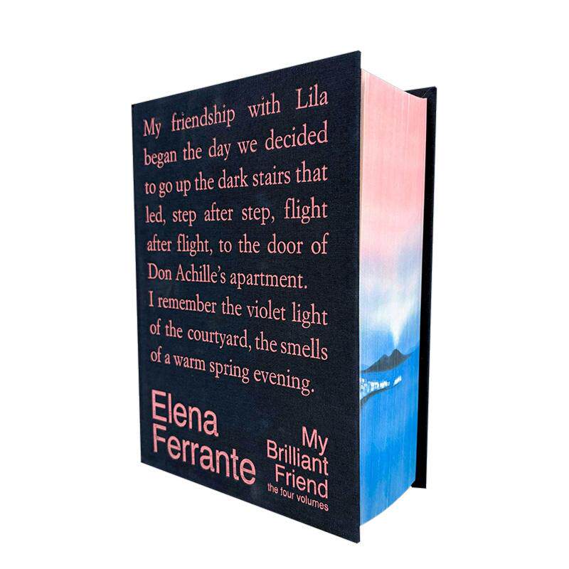 我的天才女友：那不勒斯四部曲十