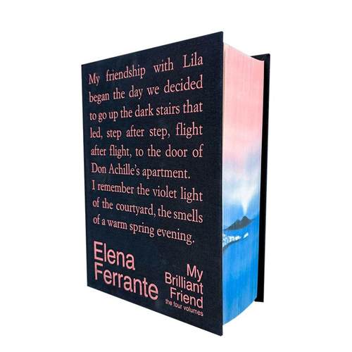 我的天才女友：那不勒斯四部曲十