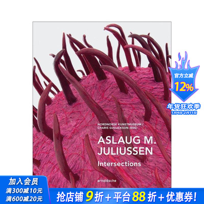 【预售】阿斯劳格?M?尤利乌森：交汇点 Aslaug M. Juliussen : Intersections 原版英文艺术画册画集 正版进口书
