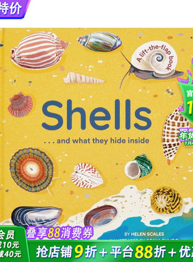 【现货】【翻翻书】贝壳跟你说什么 Shells... and what they hide inside 3岁+英文儿童趣味科普互动绘本 进口书