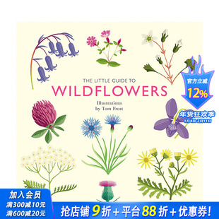 【预售】英文原版 【袖珍插画指南】野花 【Little Guides】Wildflowers 插画原画设定集 正版进口书籍画册 善优图书