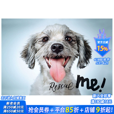【现货】英文原版 拯救我：纽约的狗狗收养肖像和故事 Rescue Me: Dog Adoption Portraits and Stories from New York City