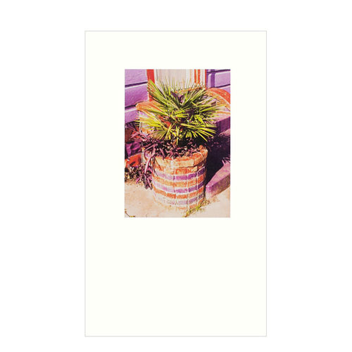 【现货】摄影师Mike Slack 就地游走1：新奥尔良 Walking In Place 1: New Orleans Perimeter Editions出版社
