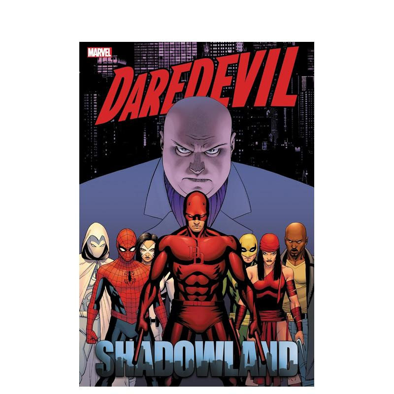 【现货】漫威漫画 夜魔侠/超胆侠 暗影大陆 合集 Daredevil: Shadowland Omnibus Cassaday Cover 精装 英文漫画Marvel 正版进口书