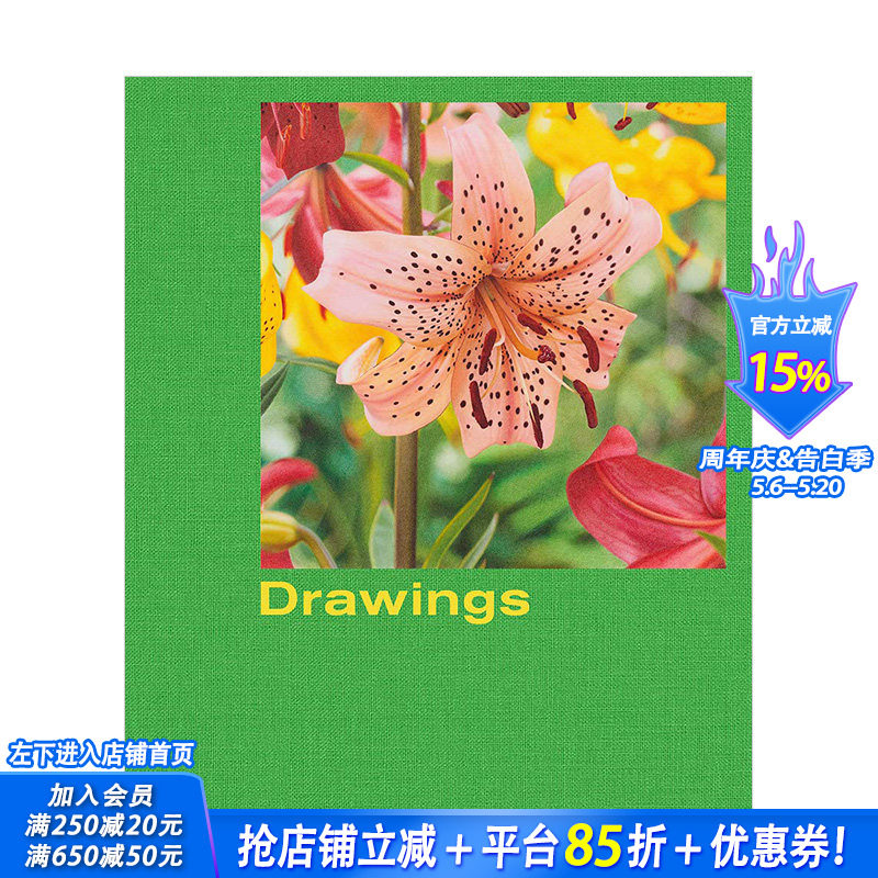 【预售】Mathew Cerletty: Drawings 马修·瑟莱蒂铅笔画艺术绘画作品集 英文原版进口画册 图书