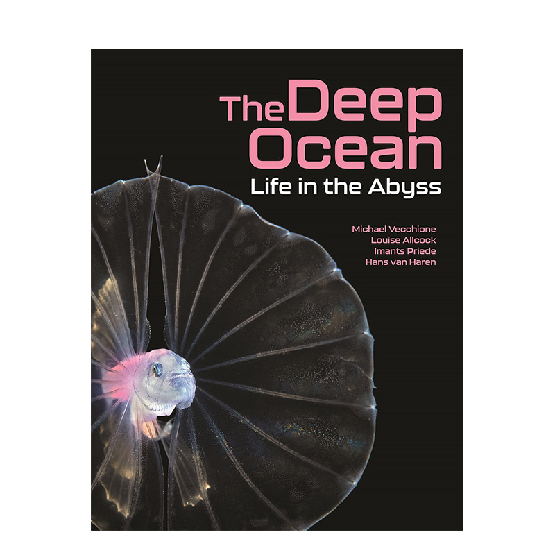 【现货】英文原版 深海中的生命 The Deep Ocean: Life in the Abyss 英文社会科学 正版进口书籍 善优图书