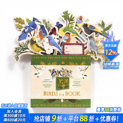 【预售】创意花盆礼品书Birds in a Book 书中鸟 养鸟宠物鸟送礼物书籍 翻翻立体书 英文书正版 Rachel Grant Lesley Earle