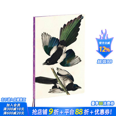 【预售】奥杜邦喜鹊A4笔记本 Magpies， James Audubon A4 Notebook 原版笔记本Notebook 正版进口书