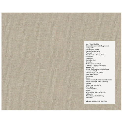 【签名版预售】英文原版 亚历克·索斯：一堆照片 Alec Soth: A Pound of Pictures 摄影师专辑 正版进口书籍艺术画册善优图书