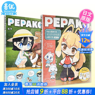 【现货】纸偶 PEPAKO/PEPAKO+【多册选拍】 わす 誠文堂新光社 日文原版进口手工艺 善优图书