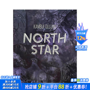 【现货】坎布伊·奥卢吉米：北极星 Kambui Olujimi: North Star 原版英文艺术画册画集 正版进口书