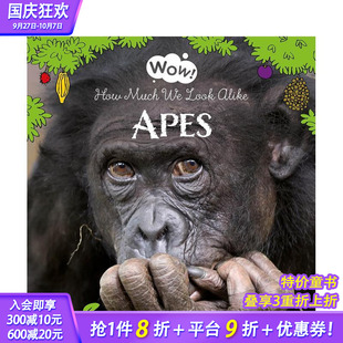 進口童書 Alike Apes. 猿類與我們看起來有多相似 英文兒童插畫故事繪本 Much 哇 Look How 預售 Wow