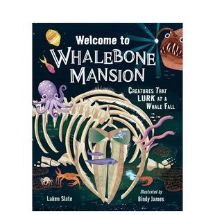 【现货】欢迎来到鲸骨庄园:鲸落潜伏生物志 Welcome to Whalebone Mansion 英文儿童插画科普绘本 进口童书