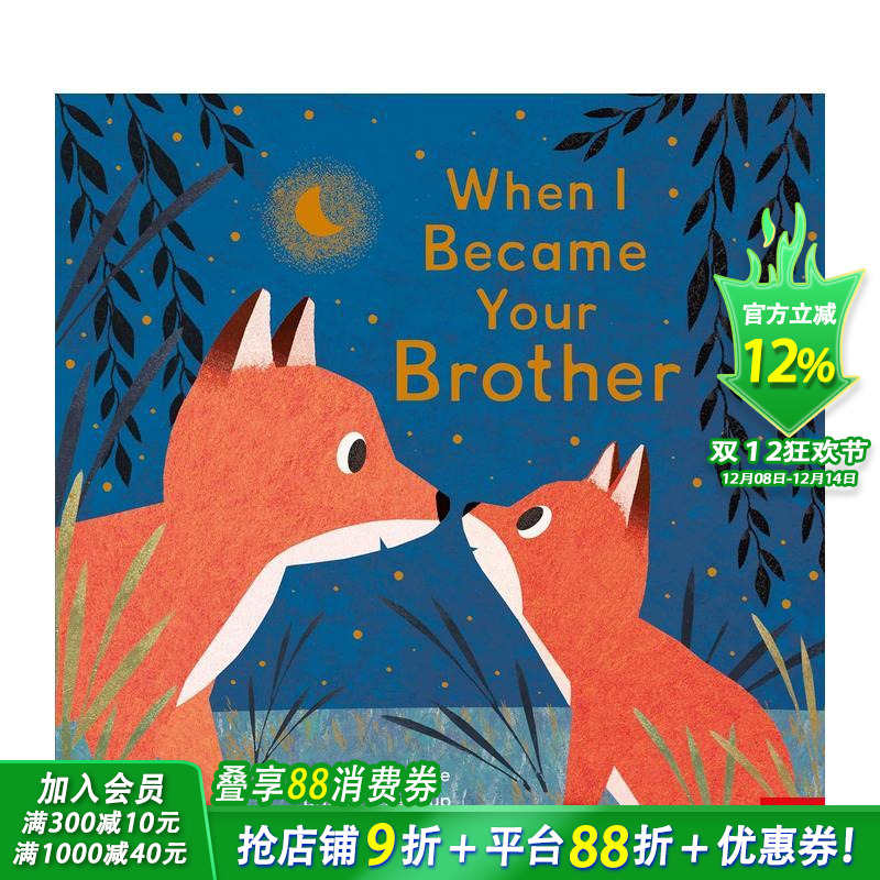 当我成为你的兄弟  亲子共读(