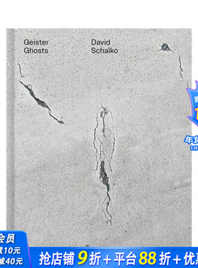 【预售】大卫·沙尔科：幽灵 David Schalko: Ghosts 原版英文摄影作品集 正版进口书
