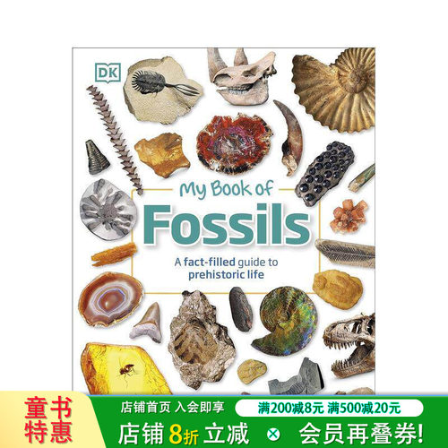 我的化石之书 My Book