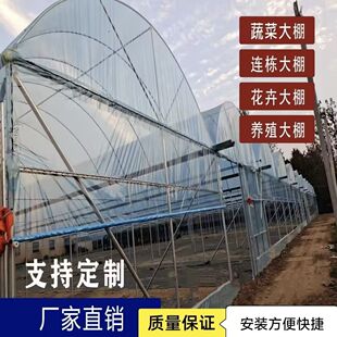 家用养鸡棚全套定制养殖猪牛羊棚椭圆管棚定制简易连体棚种植蔬菜