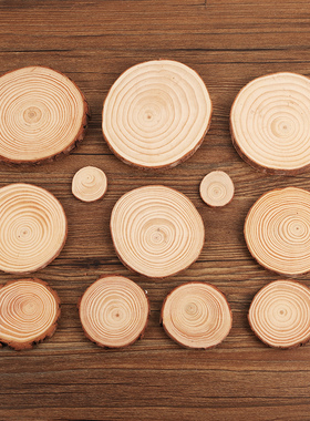 天然森系原木树皮木片装饰小木桩摆件微景观造型布置手工DIY道具